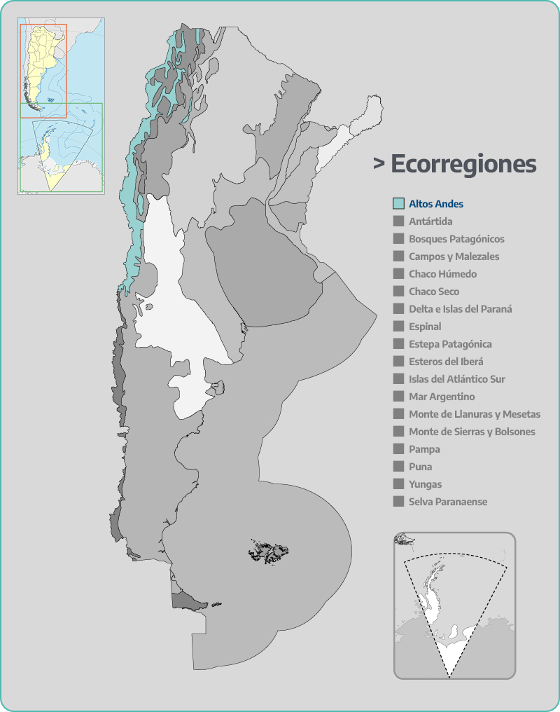 Ecorregión Altos Andes