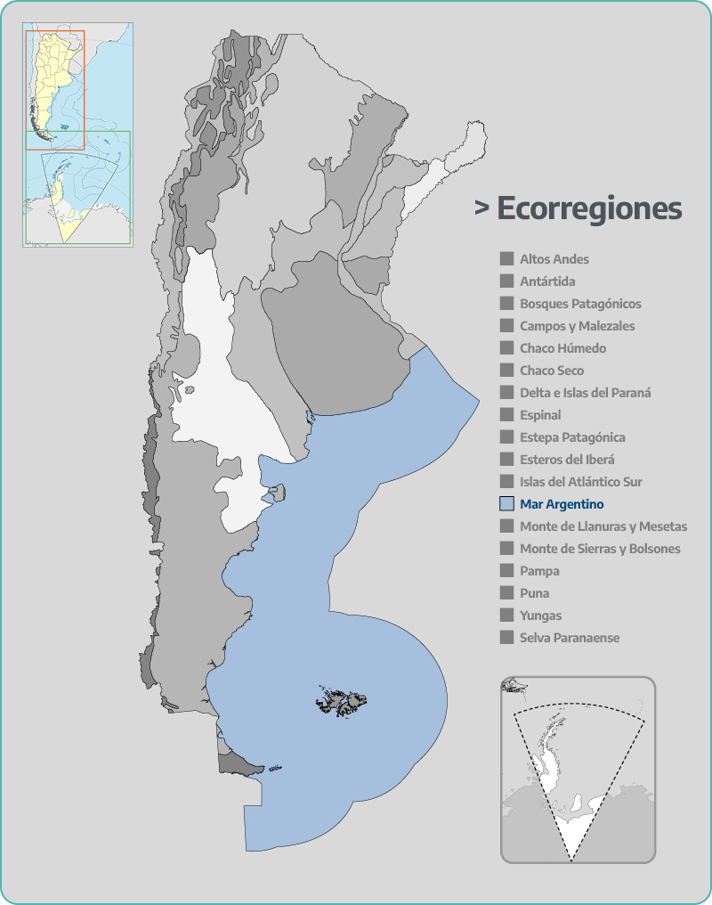 Ecorregión Mar Argentino